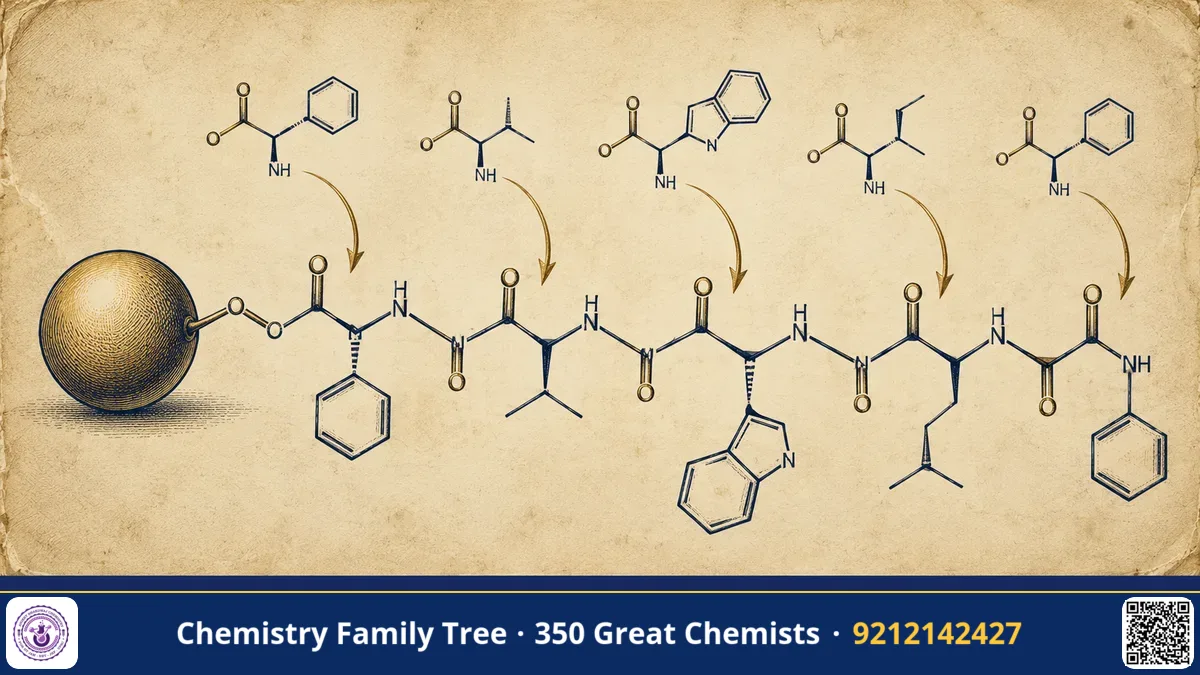 Study guide — Bruce Merrifield: Building Proteins on a Bead