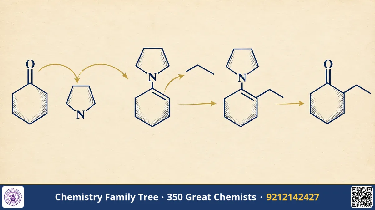 Study guide — The Stork Enamine Reaction: A Gentler Way to Alkylate Ketones