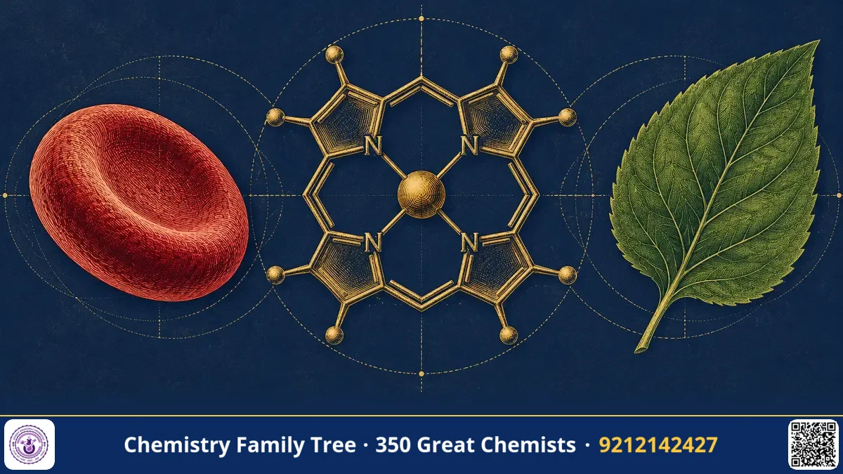 Study guide — Hans Fischer: Synthesising Haemin and Mapping the Porphyrins