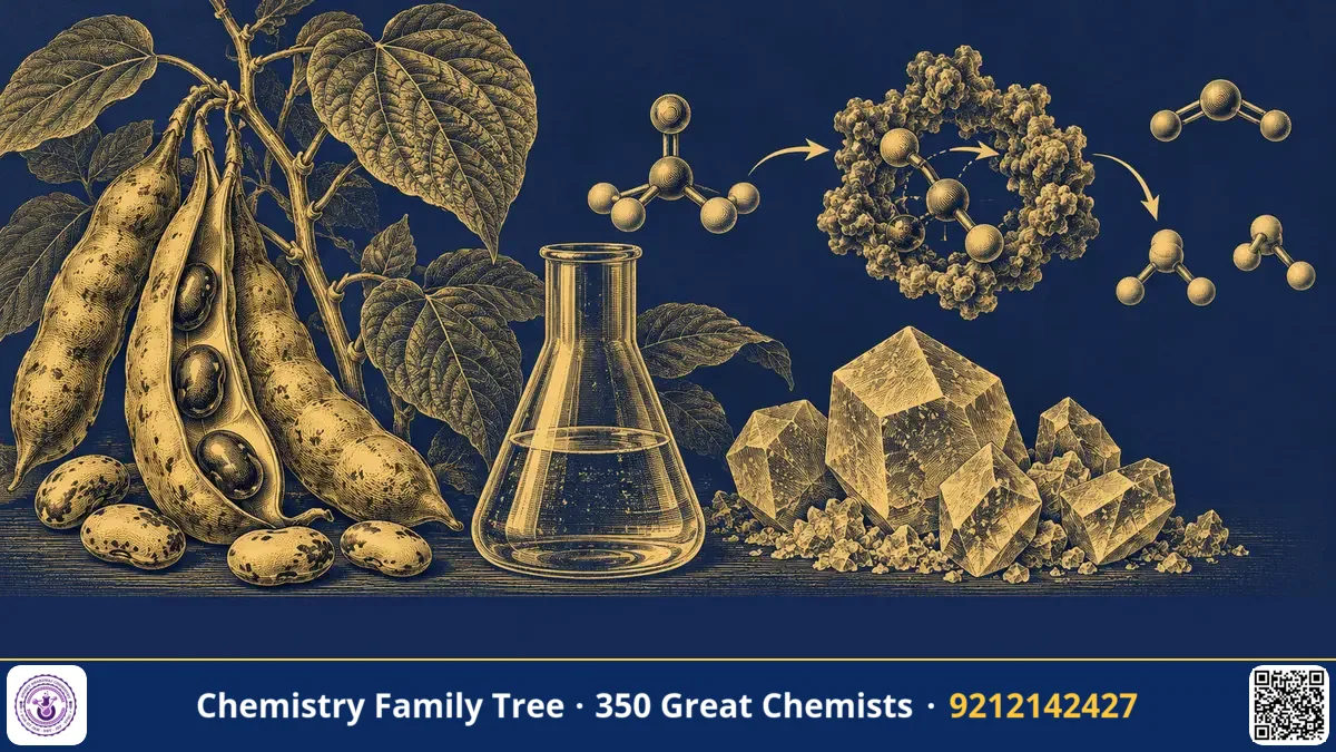 Study guide — James B. Sumner and the Crystals That Proved Enzymes Are Proteins