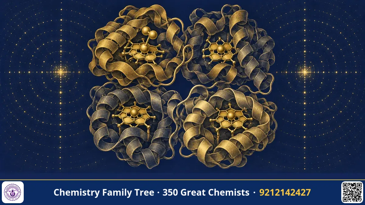 Study guide — Max Perutz and the Structure of Haemoglobin: How Blood Carries Oxygen