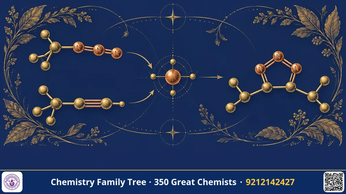 Study guide — The Copper-Catalysed Click Reaction: How Morten Meldal Found the Perfect Way to Join Two Molecules