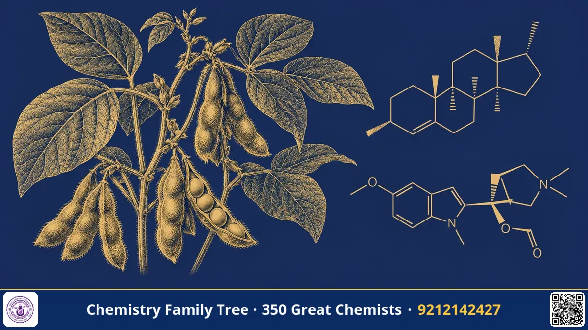 Study guide — Percy Julian's Chemistry: From Calabar Bean to Soybean Steroids