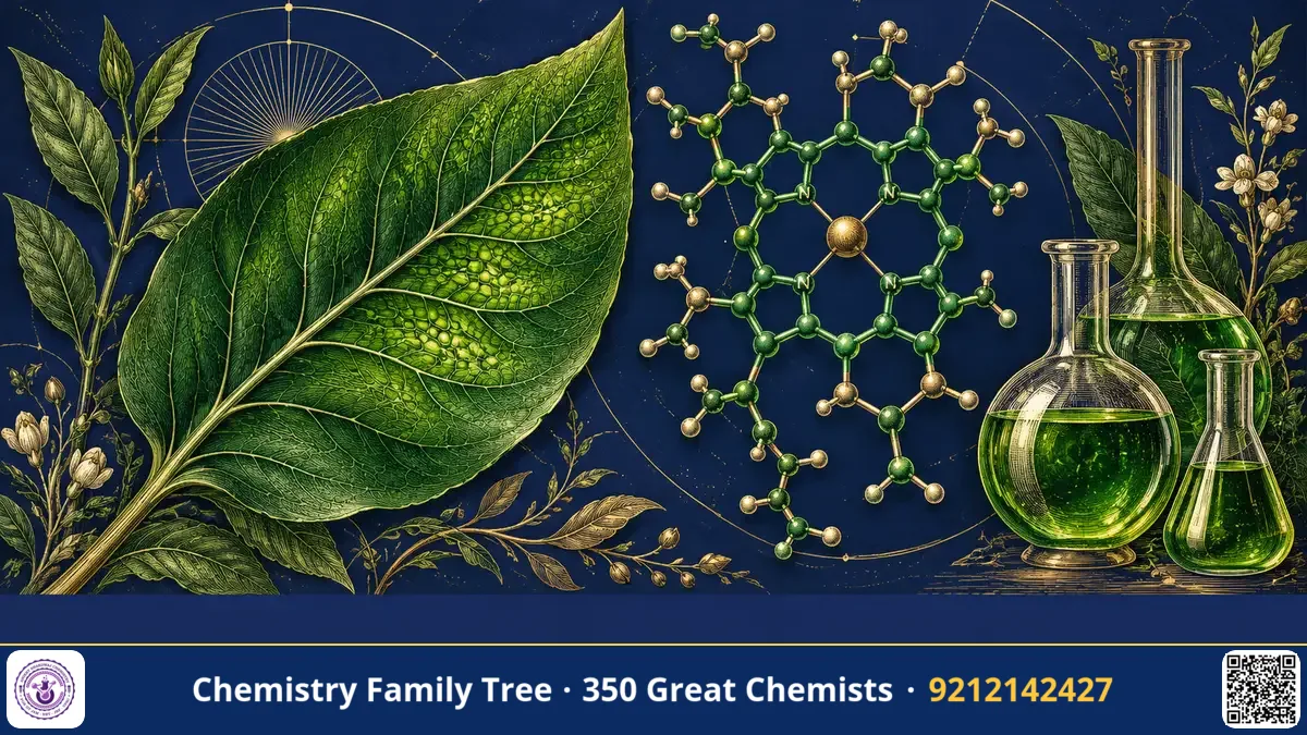 Study guide — Richard Willstätter and the Chemistry of Chlorophyll