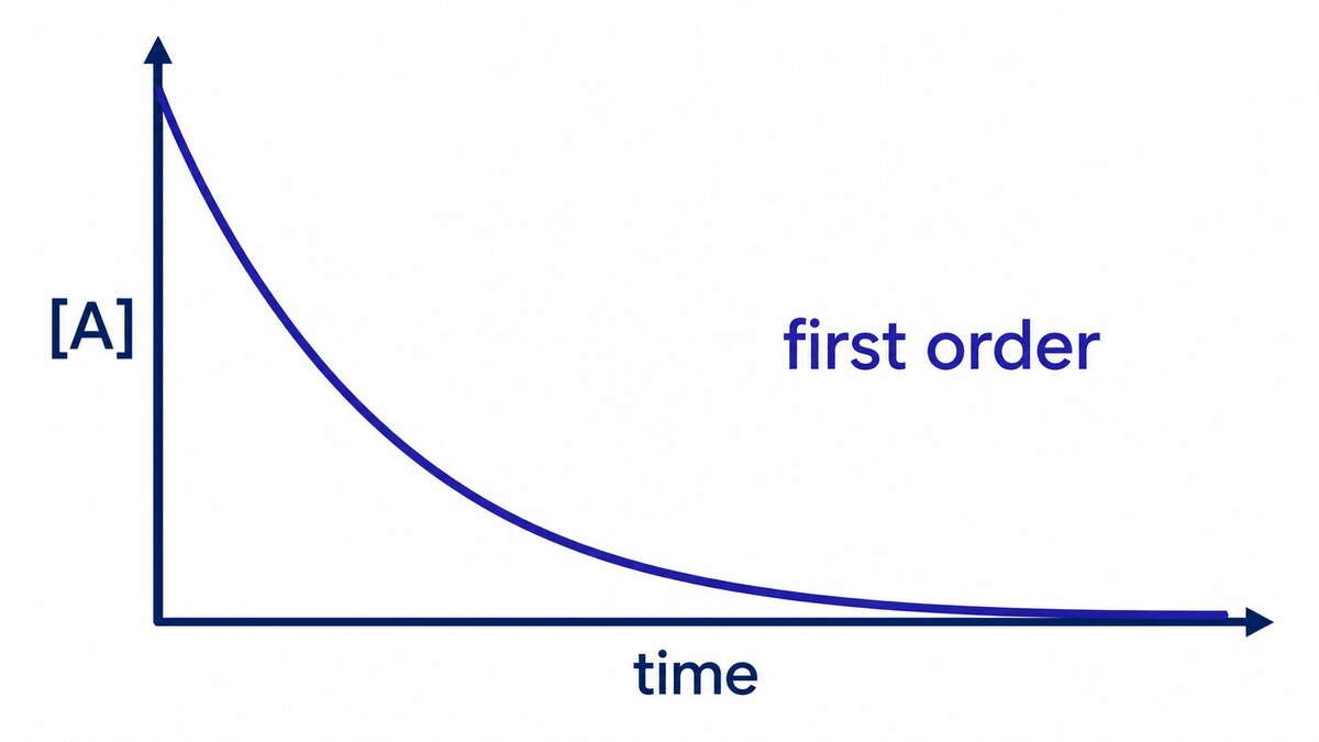 A navy decay curve on indigo axes falls from high reactant concentration toward zero over time, labeled “[A],” “time,” and “first order.”