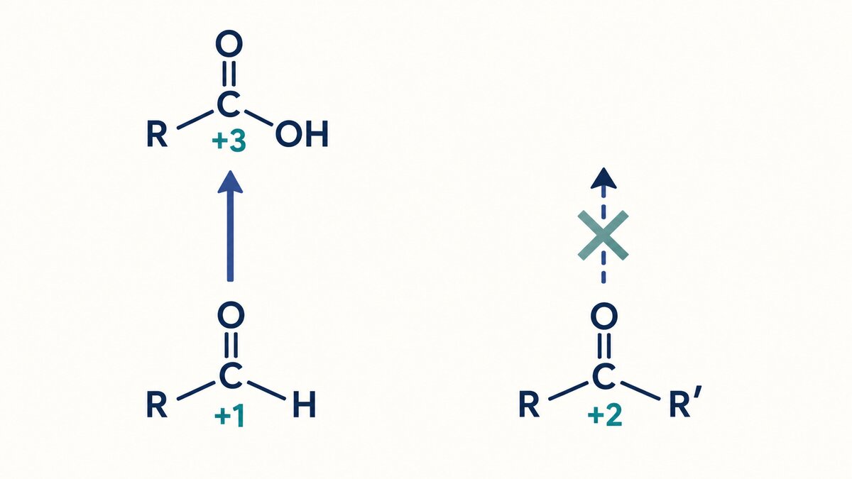 A flat chemistry diagram shows aldehyde carbon rising from +1 to +3 while ketone carbon remains at +2 behind a blocked oxidation arrow.