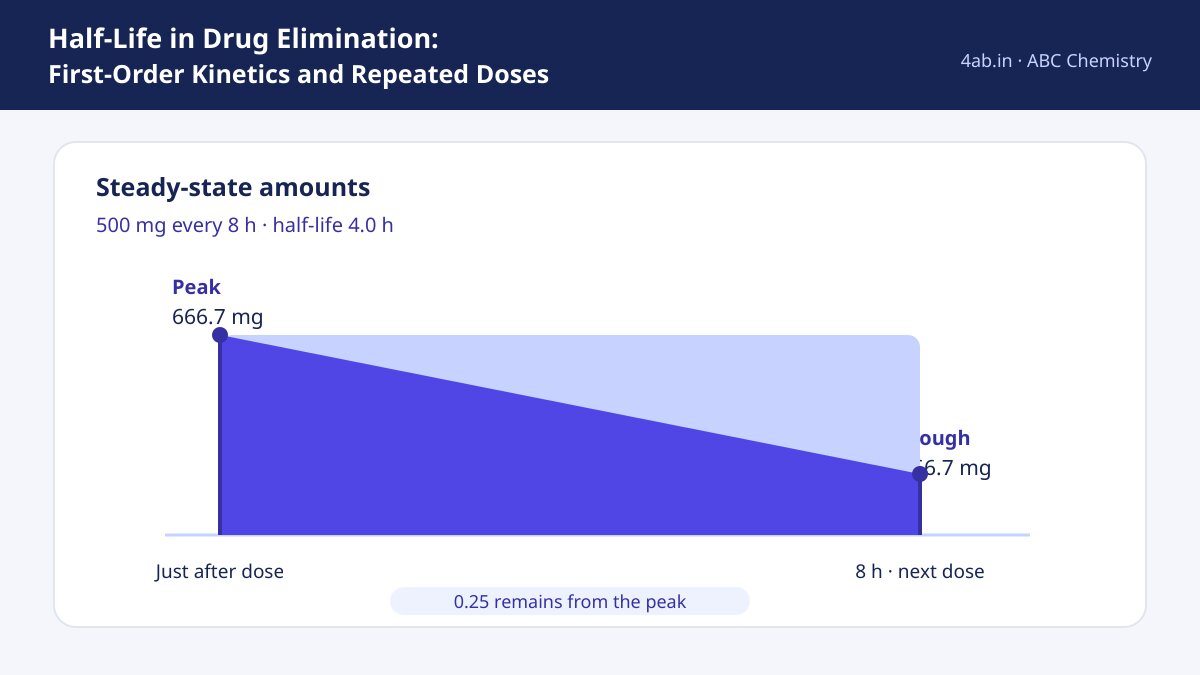 A steady-state dose interval shows a 500 mg dose, a 666.7 mg peak, and a 166.7 mg trough after 8 h.