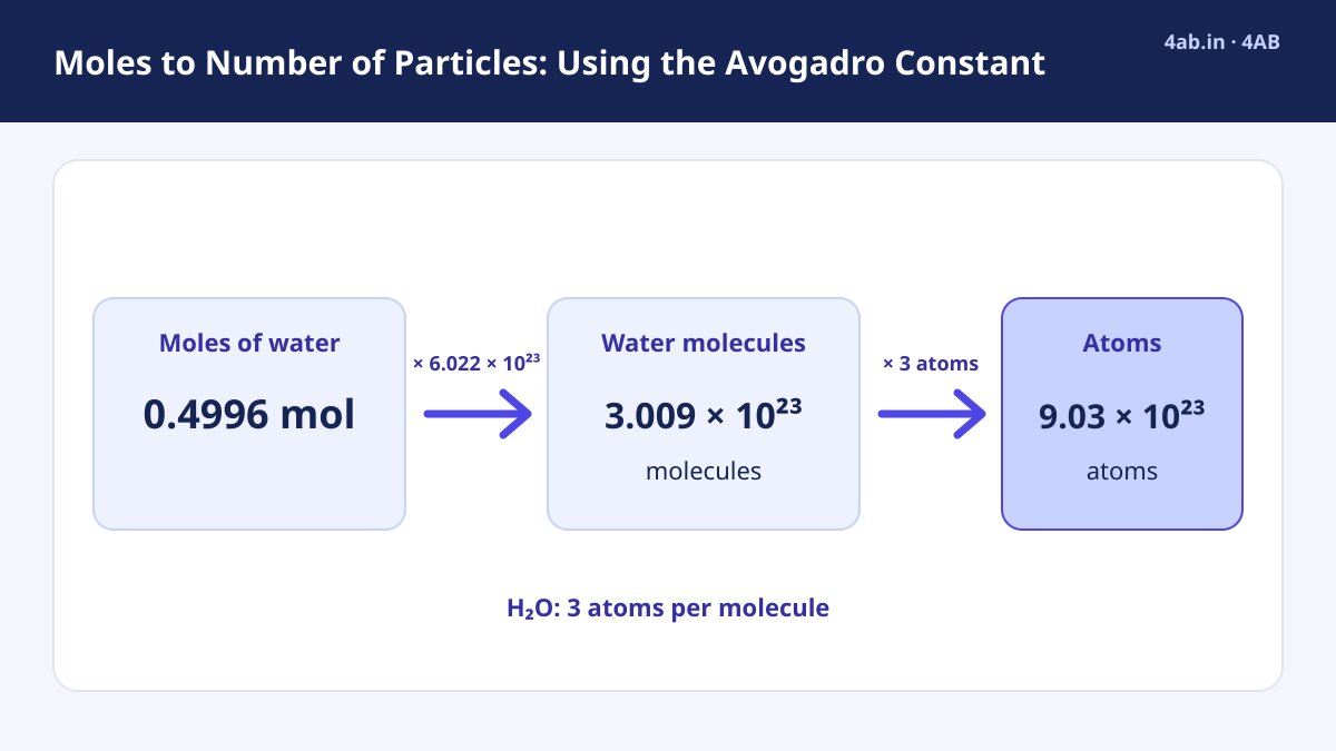 Study guide — Moles to Number of Particles: Using the Avogadro Constant