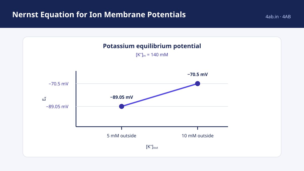 Chemistry study guide — Nernst Equation for Ion Membrane Potentials