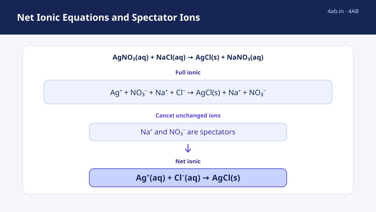 Exam update — Net Ionic Equations and Spectator Ions