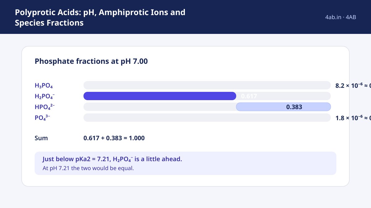 At pH 7.00, a stacked bar shows phosphate fractions H₂PO₄⁻ 0.617 and HPO₄²⁻ 0.383, with trace H₃PO₄ and PO₄³⁻ fractions.
