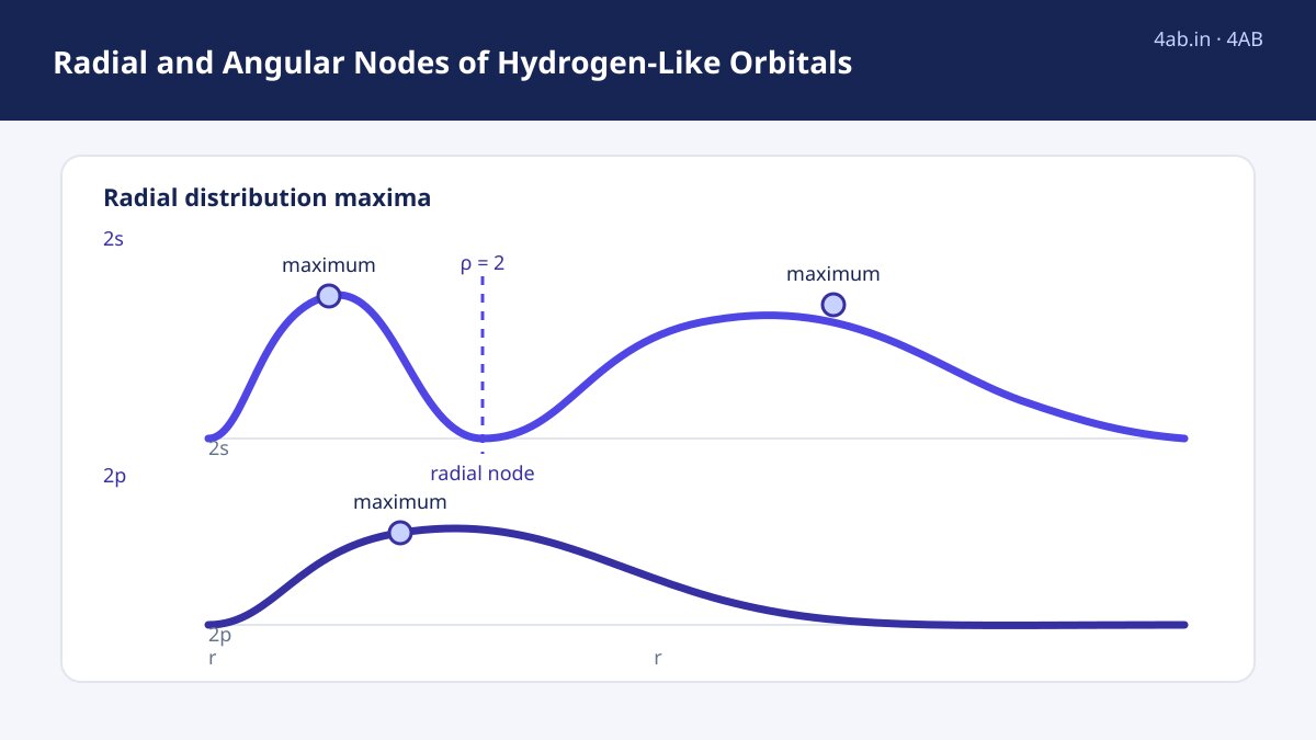 Study guide — Radial and Angular Nodes of Hydrogen-Like Orbitals
