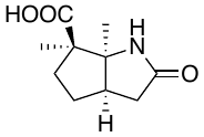 structure