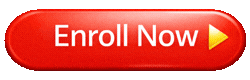 Class 8 Home Tutor in Dwarka Delhi