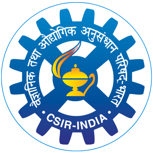 CBSE Experience